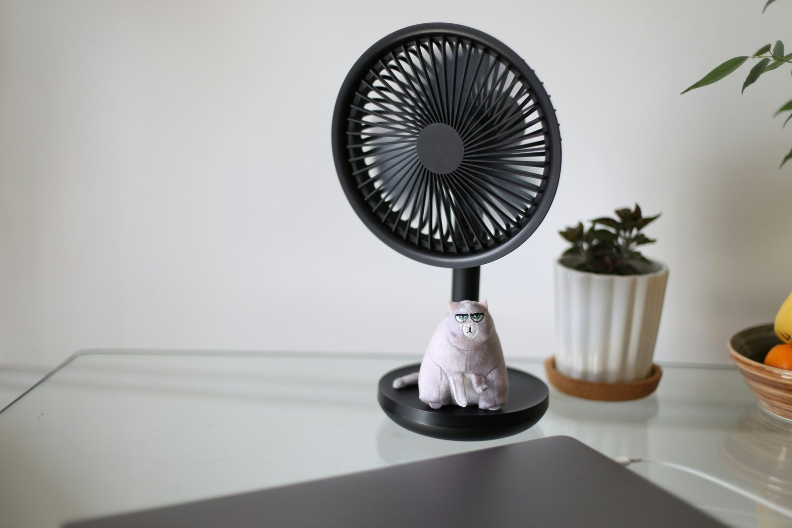 Fan with a plush toy beside it