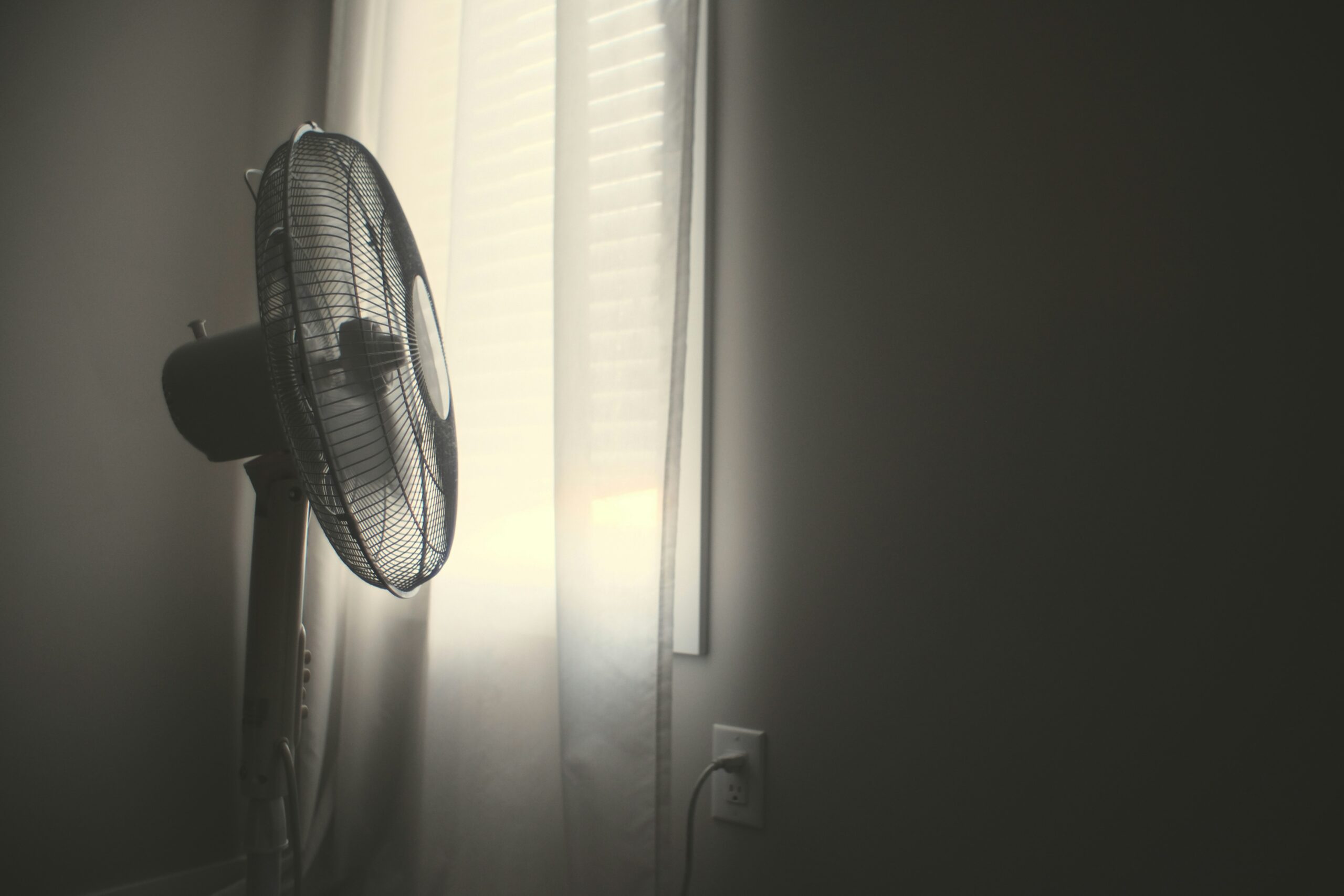 pedestal fan