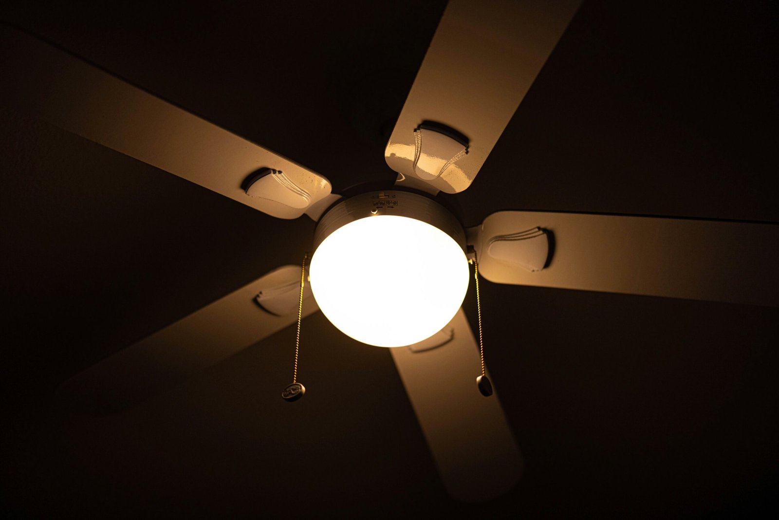 josh-denten-TYA-C9cE8Vw-unsplash